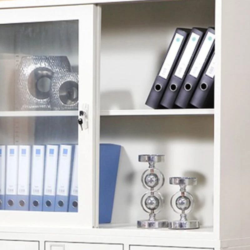 Le stockage contemporain de classeur en verre étagère le classeur de verrouillage Clearhalo