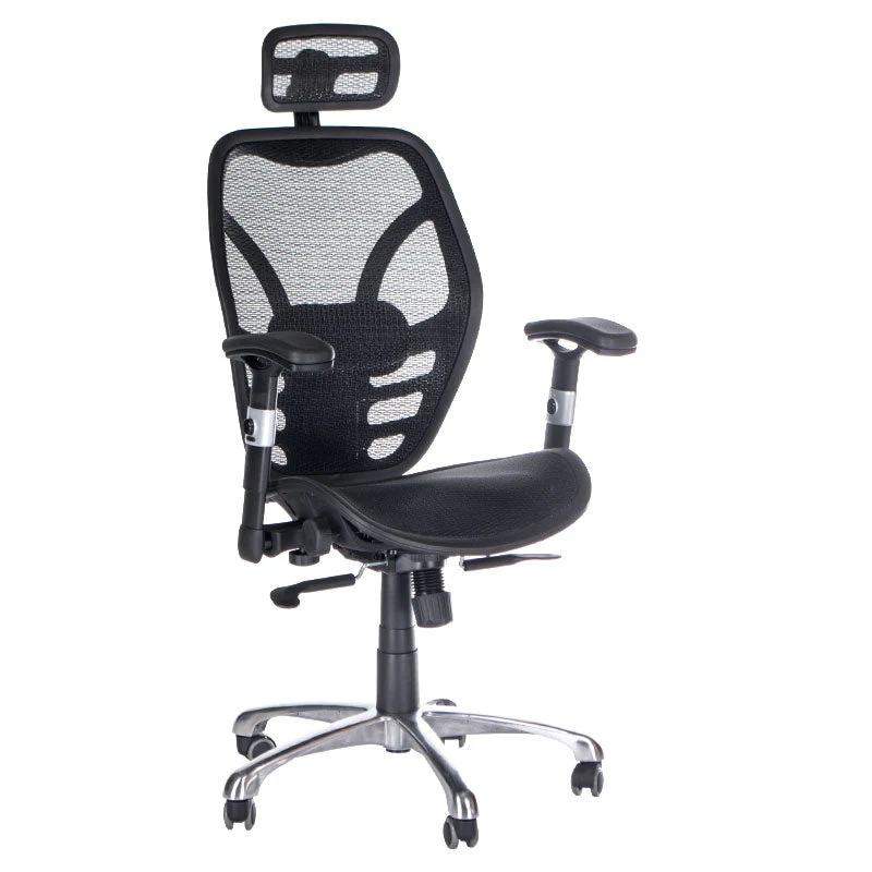 Fauteuil ergonomique CorpoComfort BX-4036 Noir