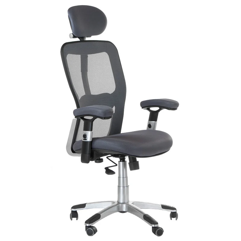 Fauteuil ergonomique CorpoComfort BX-4147 Gris