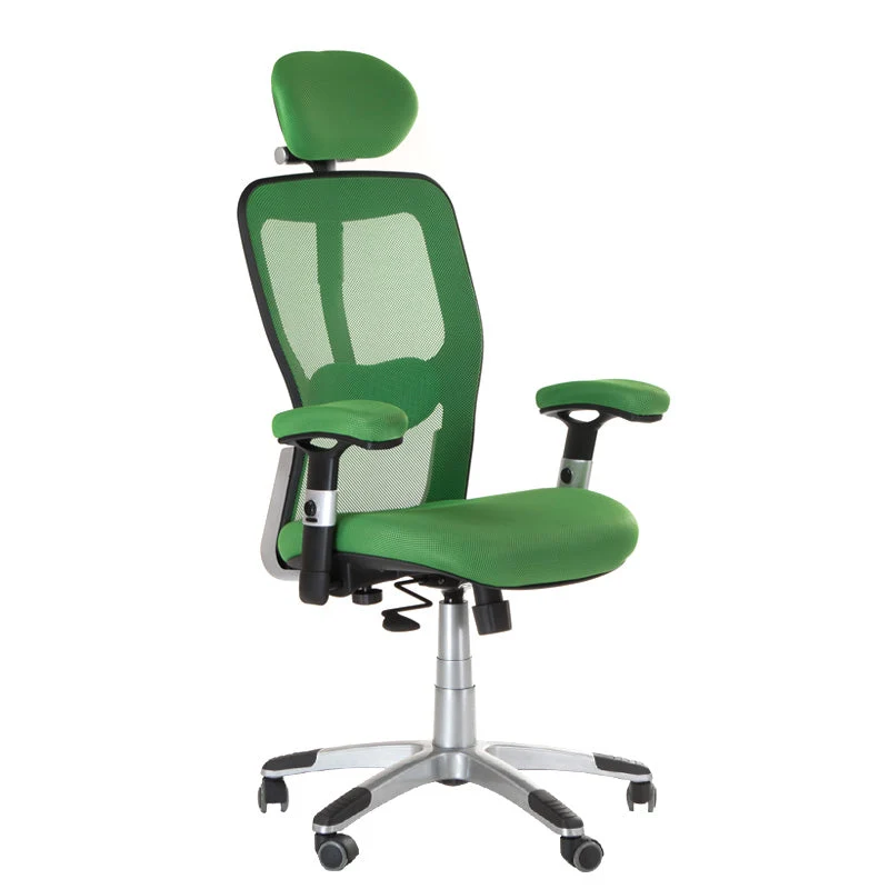 Fauteuil ergonomique CorpoComfort BX-4147 Vert