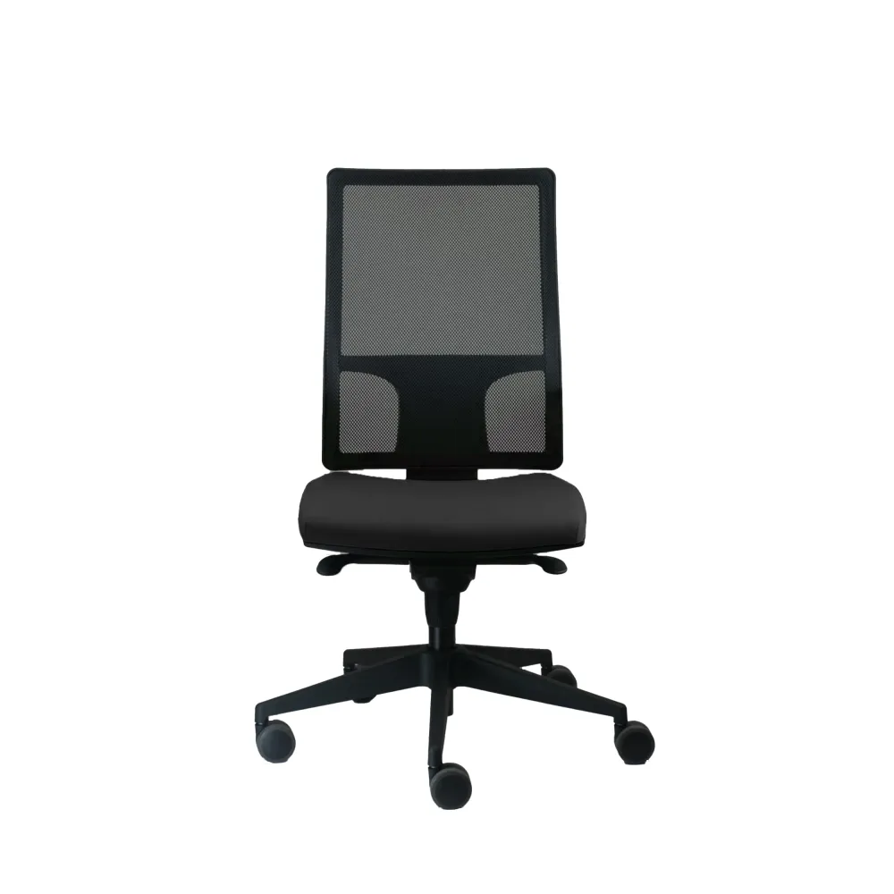 Fauteuil Ergonomique Soft Seat