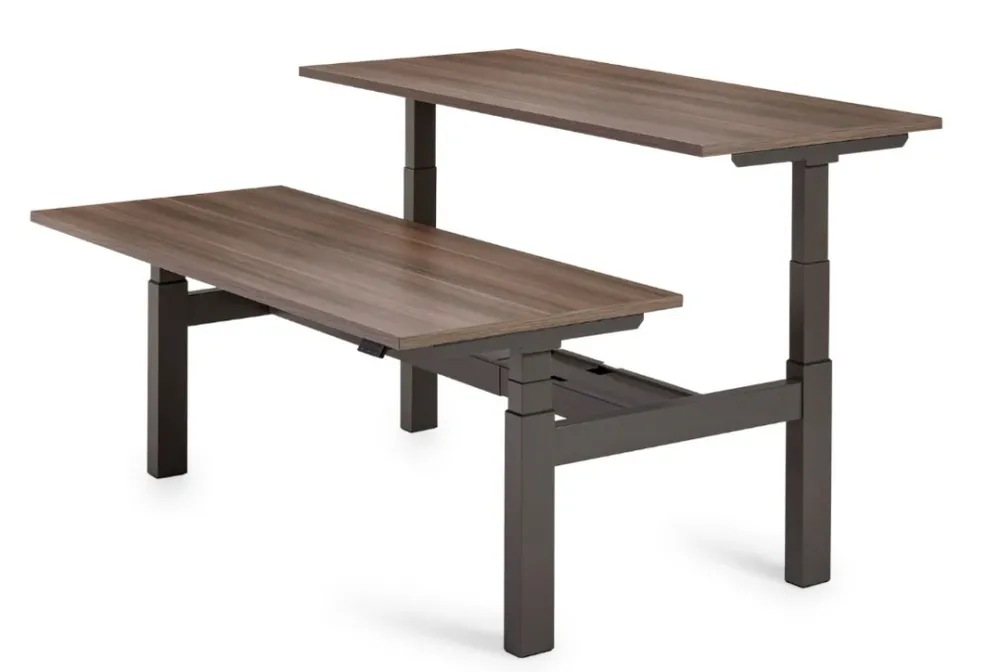 Le Flex 3+ bench