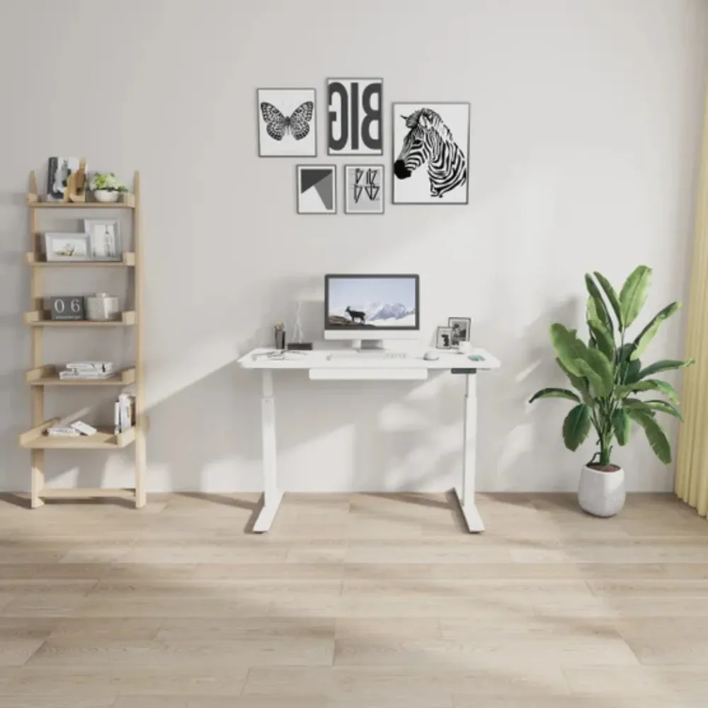 MOTIONWISE - Bureau Assis-Debout à Hauteur Réglable *Boite Ouverte*