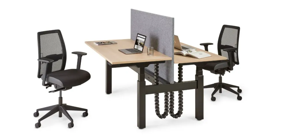 Le S-Line Bench