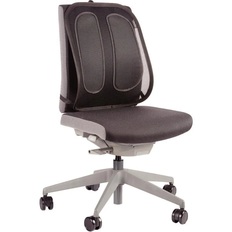 Support dorsal