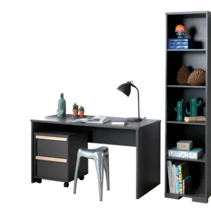 Cet ensemble LONDON anthracite se compose d'un bureau avec caisson mobile assorti et d'une bibliothèque. Vipack