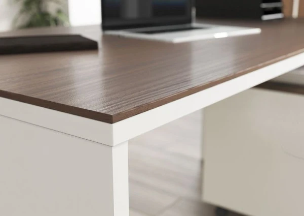 ALLEMAGNE GW-ANCONE Bureau 4225 4225-573 magasiner à bas prix