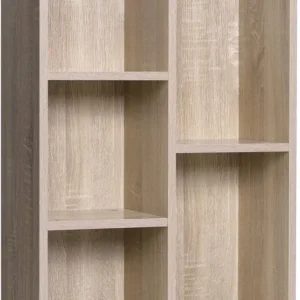Bibliothèque à 5 niveaux casiers étagère de rangement colonne de rangement dimensions 50 x 24 x 80 cm (l x l x h) teinte c...