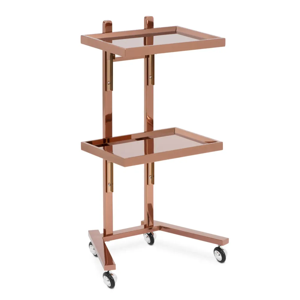 Charriot d'esthétique 2 tablettes rabattables jusqu'à 10 kg acier inoxydable rose doré 14_0008639