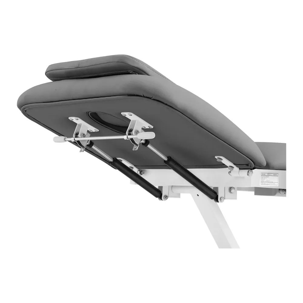 Table de massage - 1 moteur - 200 kg - gris blanc 14_0007758