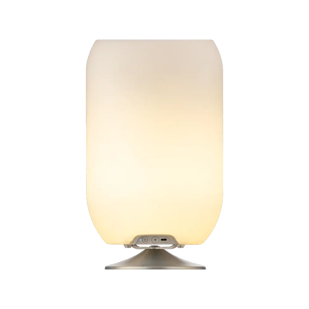 Atmos Brossé Silver pour Espace de Travail