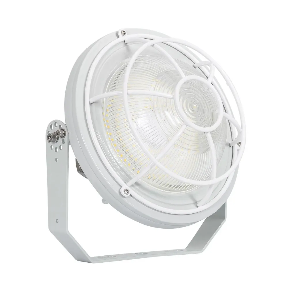 Luminaire circulaire 60W LED pour zones ATEX Style Industriel