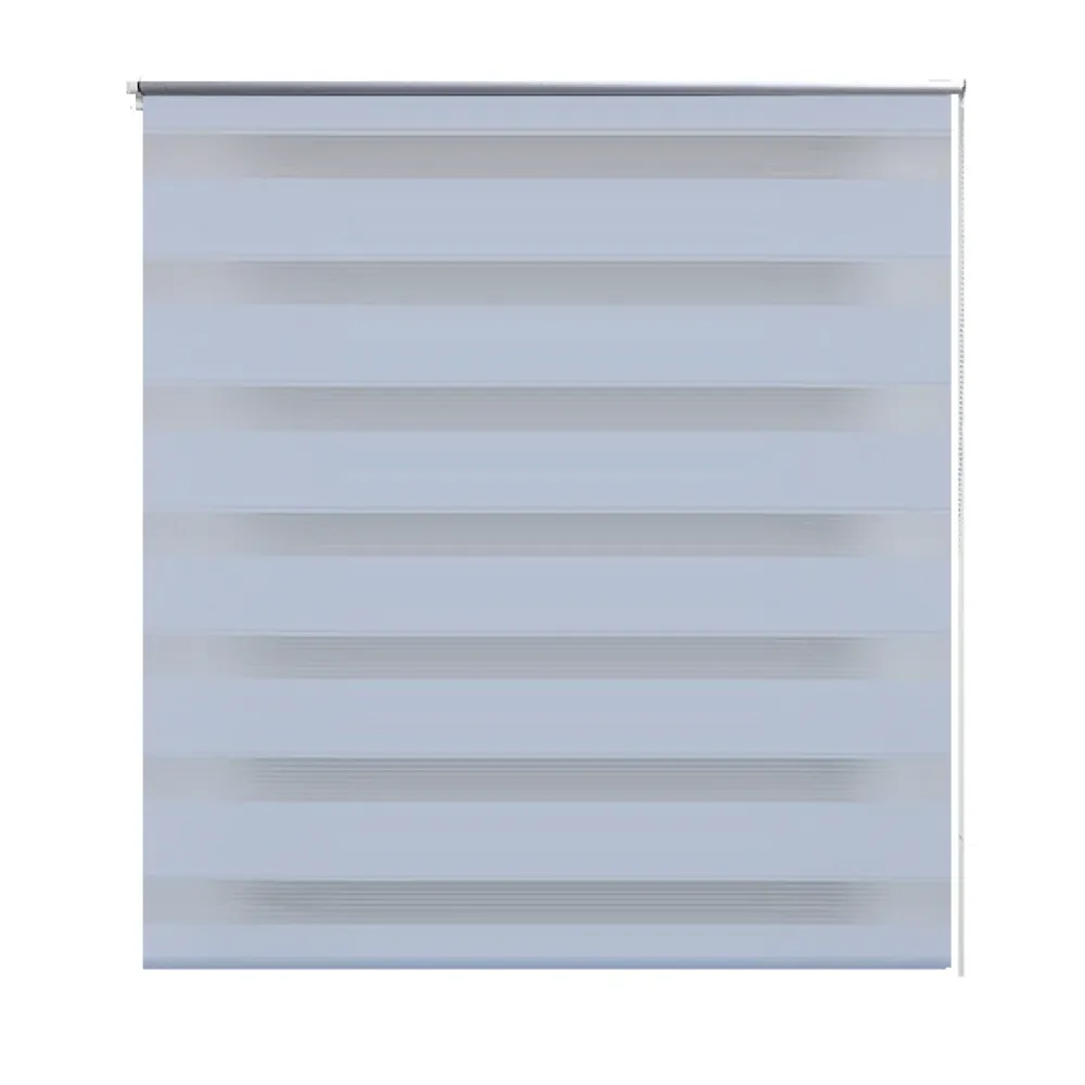 Store enrouleur blanc tamisant 50 x 100 cm fenêtre rideau pare-vue volet roulant 4102080