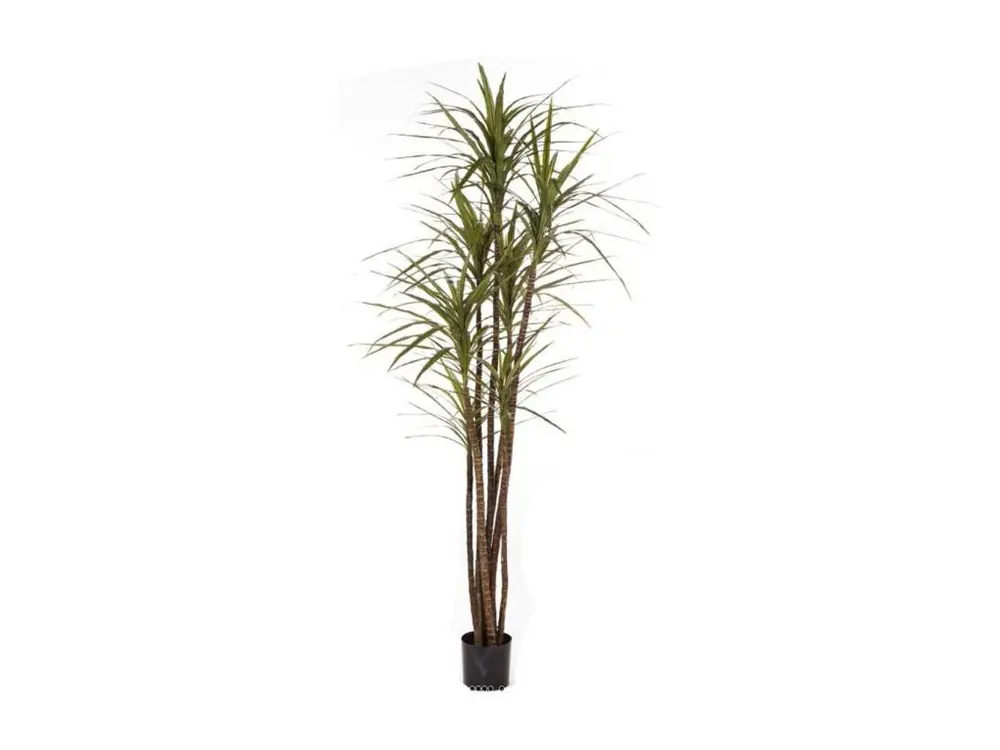 Dracaena magenta artificiel H 120 cm 141 feuilles en pot - choisissez votre hauteur: H 120 cm - couleur: Vert
