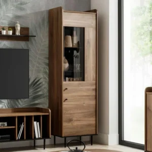Vitrine Providence M100, Chêne foncé|Noir, Avec des portes, Le nombre de portes: 1.00, design moderne