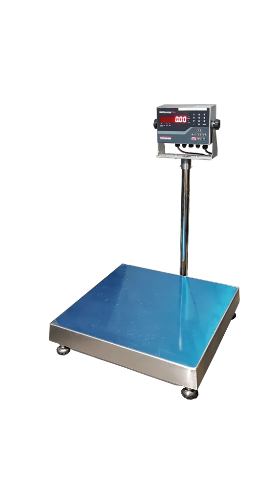 Balance washdown Synergie 680 de Rice Lake
