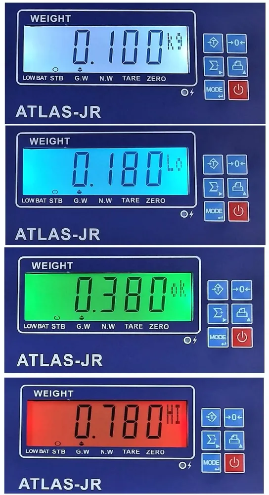 Indicateur "checkweighing" ATLAS-JR Themis