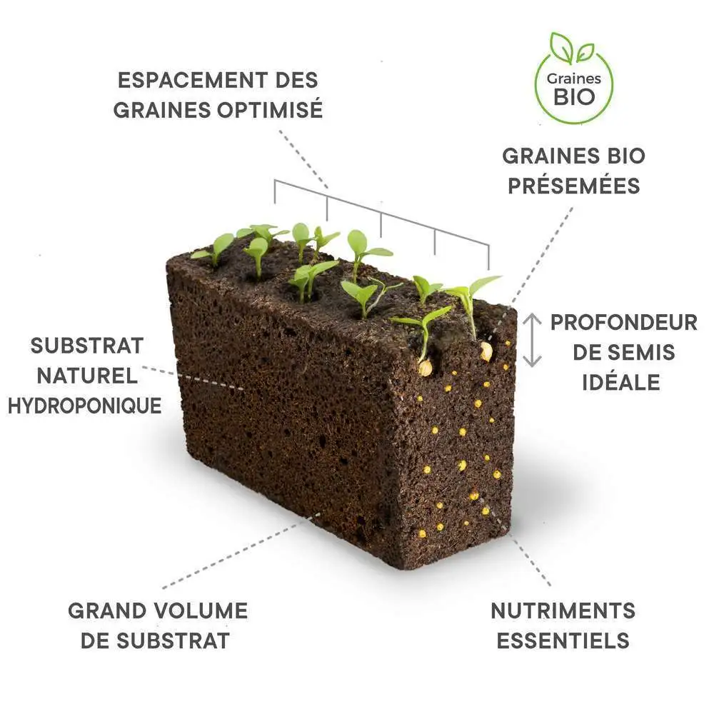 Recharge lingot® de persil plat bio - pour potager Véritable® Veritable