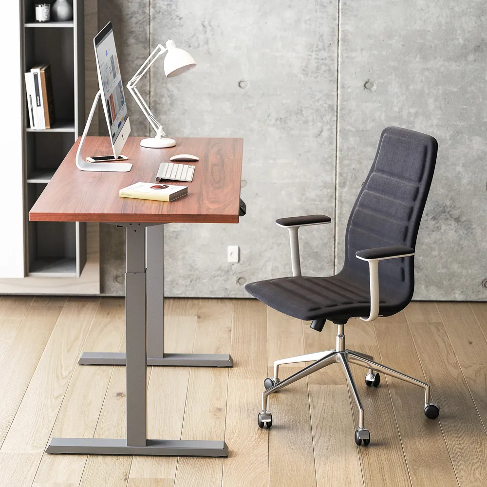Bureau électrique Ergo Office réglable en hauteur, gris, hauteur max 123 cm, 80 kg - sans plateau, pour travail debout et...
