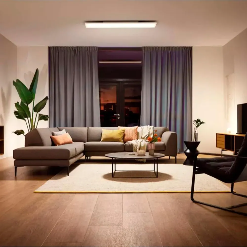 Philips Hue panneau LED 46,5W, format 120x30 cm blanc rectangulaire. - 24 pièces