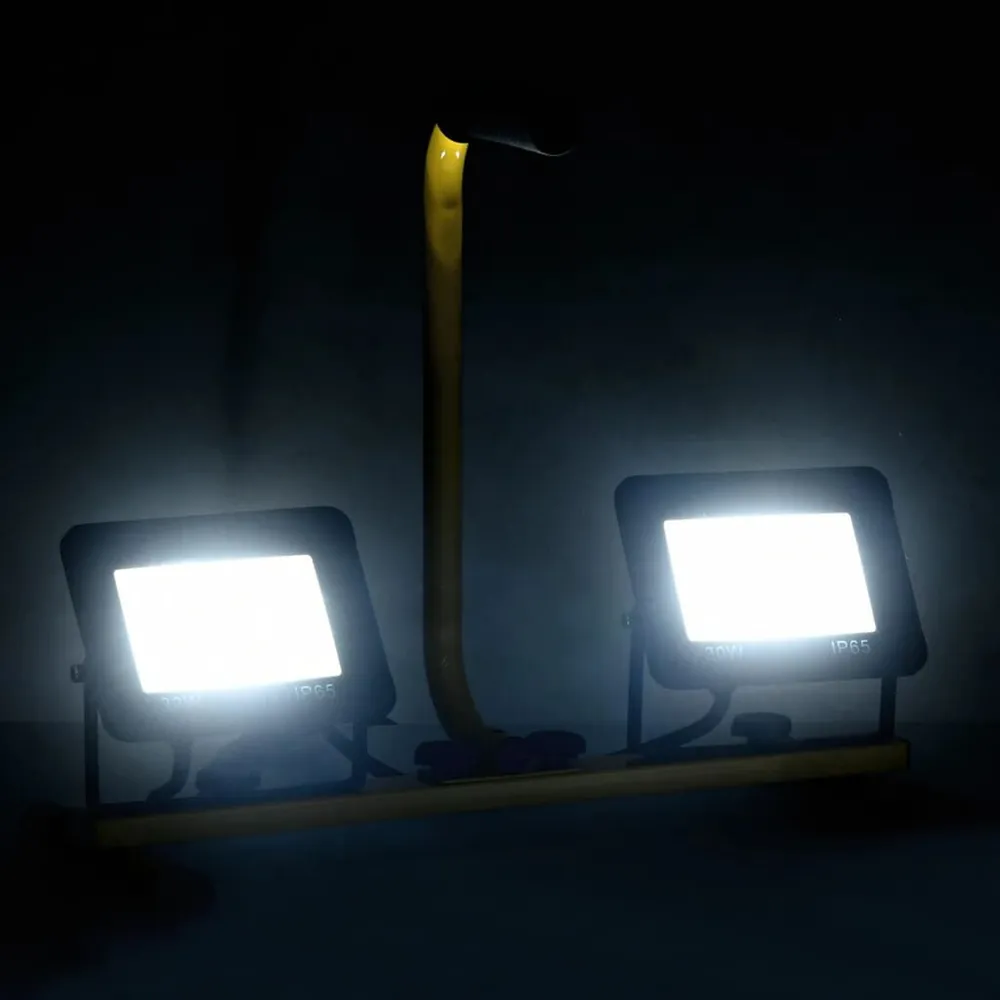 Projecteur à LED avec poignée 2x30 W Blanc frais