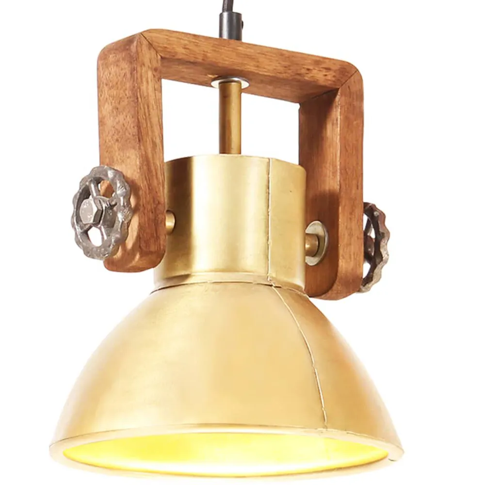 Accessoire Modulable Premium Lampe suspendue industrielle 25 W Laiton Rond 19 cm E27
