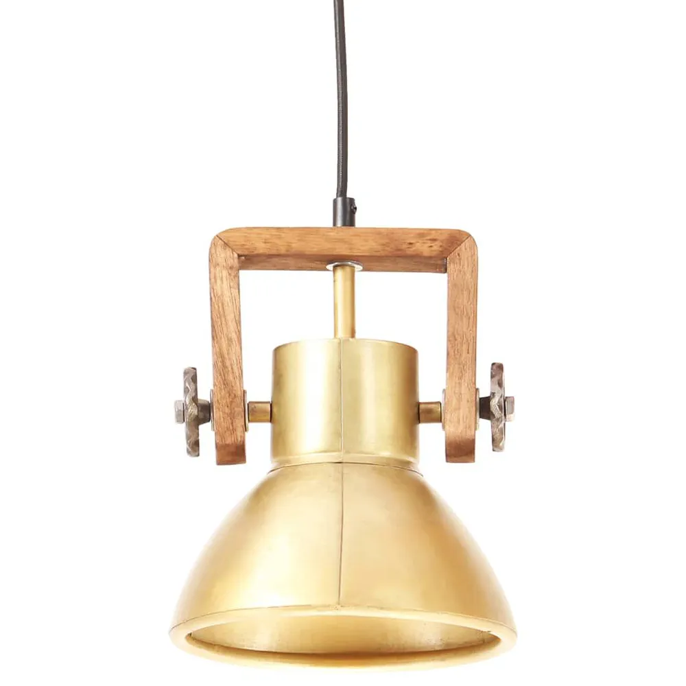 Accessoire Modulable Premium Lampe suspendue industrielle 25 W Laiton Rond 19 cm E27