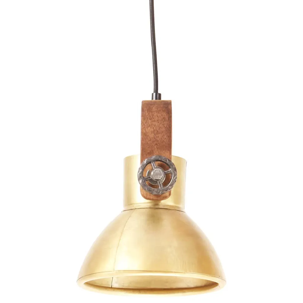 Accessoire Modulable Premium Lampe suspendue industrielle 25 W Laiton Rond 19 cm E27
