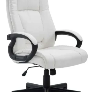 Fauteuil de bureau XL sur roulettes avec accoudoirs mécanisme d'inclinaison plastique VINYLE blanc 10_0002717