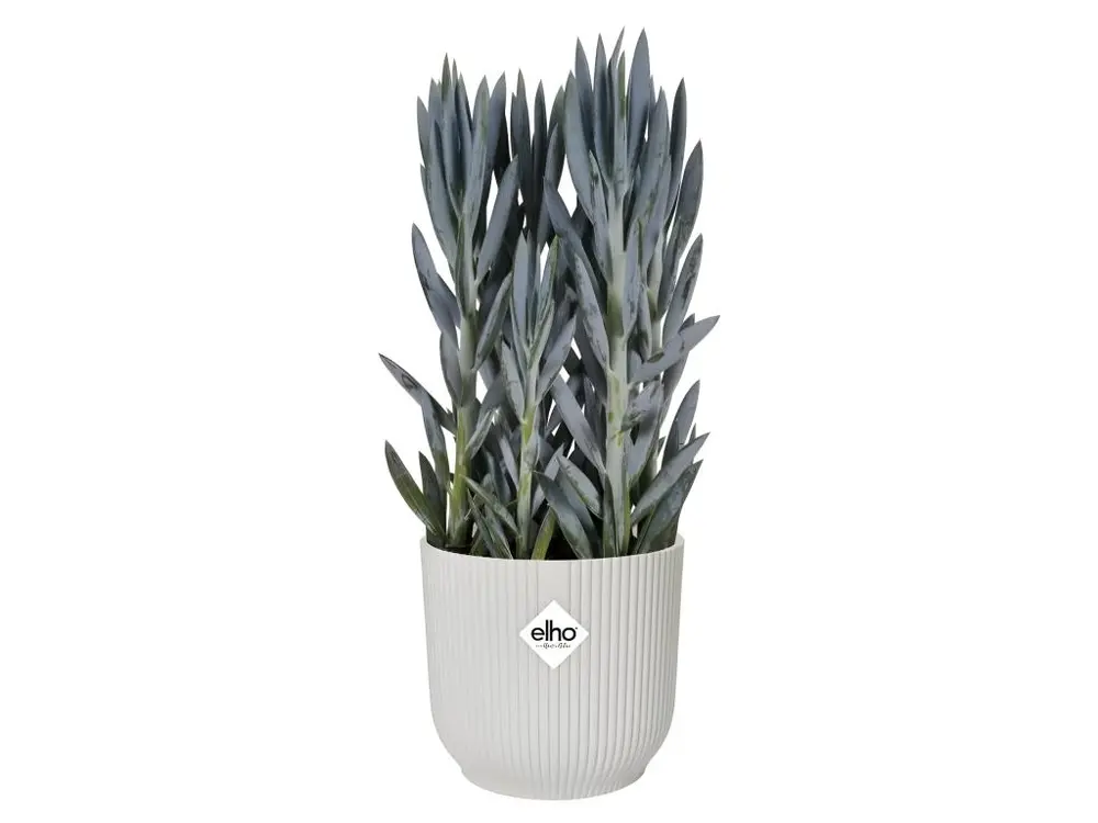 Pot De Fleurs Rond VIBES - Plastique - Ø25 - Blanc pour une organisation optimale