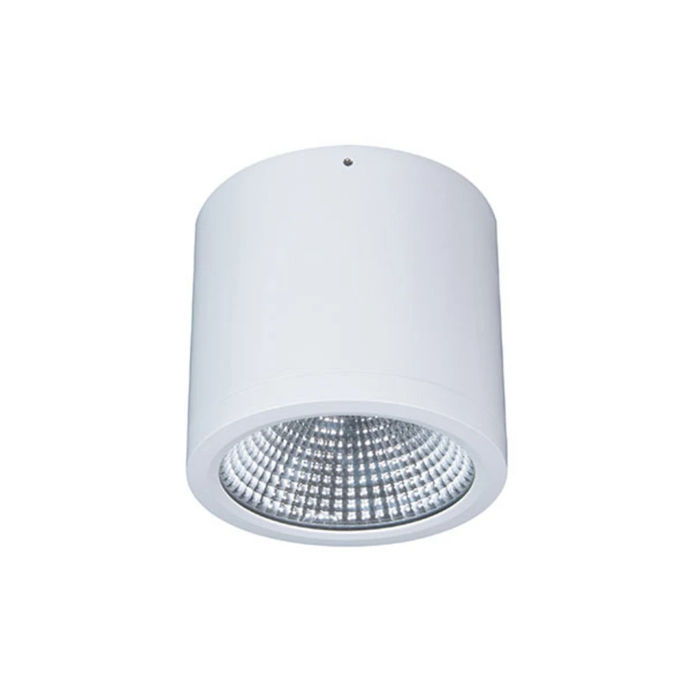 Système de suspension Downlight LED Button Réduit 200 IP54 55° 24 W