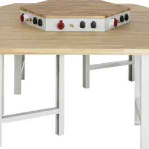 Etabli de équipe RAU série 4000 avec fixation énergétique 2700x790-1140x2340 mm 03-400-135B4H-EA1.12 choisir à bas prix