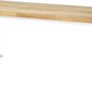 Etabli RAU série adlatus 600 (réglable en hauteur électriquement) 2000x850x700 mm 08-WB-200-070-B choisir à bas prix