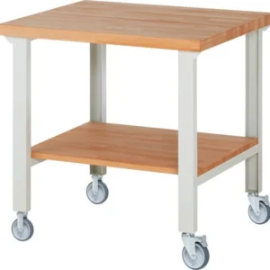 Établi mobile RAU 7000-7 1000x900x1000mm 2 roulettes fixes et pivotantes chacune 05-7000-7-109B4S22.12 commander à bas prix