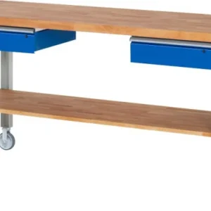 Établi mobile RAU 7002A7 2000x700x1000mm 2 roulettes fixes et pivotantes chacune 05-7002A7-207B4S22.11 prendre à bas prix