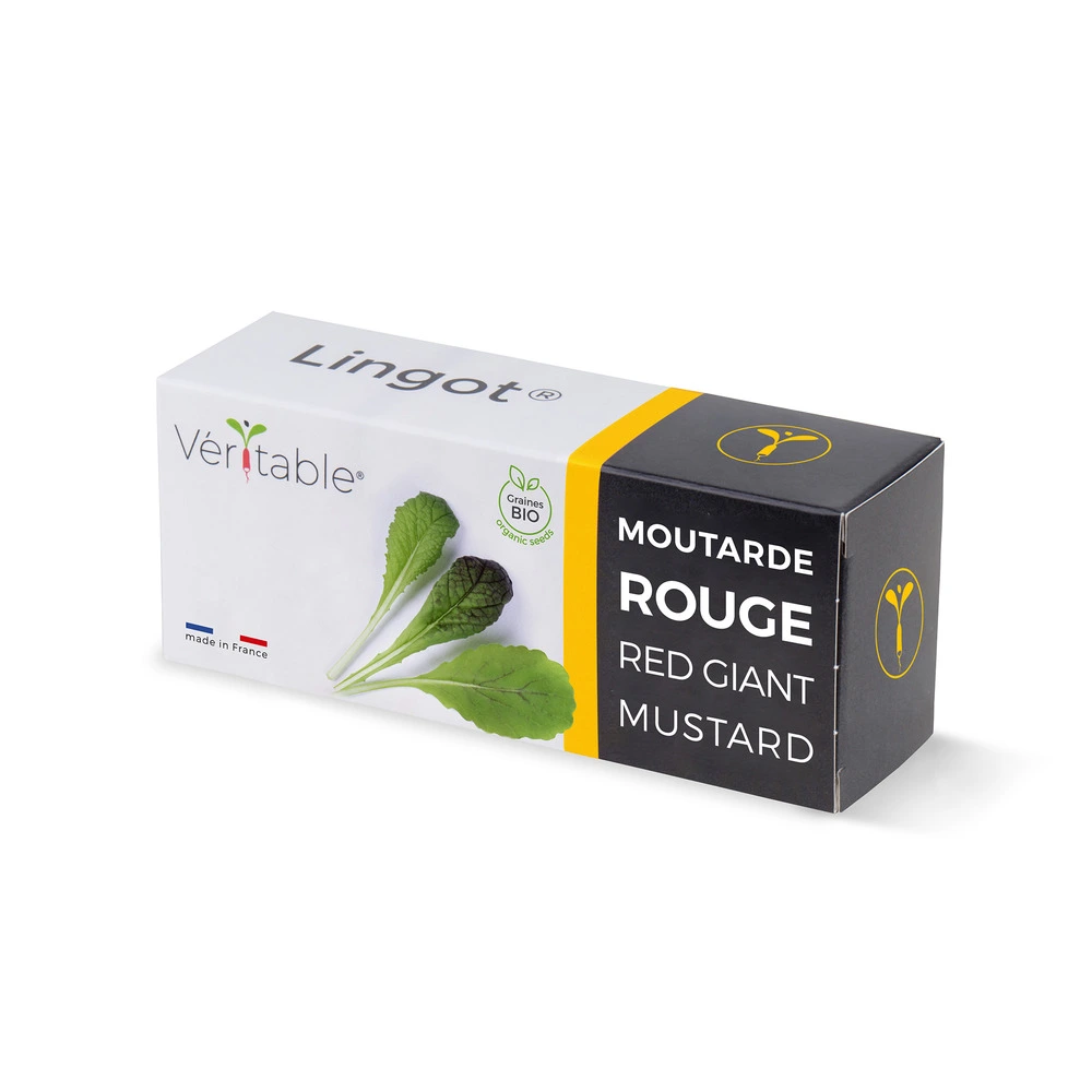Lingot moutarde rouge bio - recharge prête à l'emploi