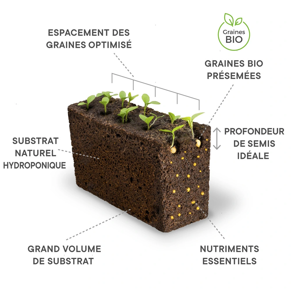 Lingot moutarde rouge bio - recharge prête à l'emploi