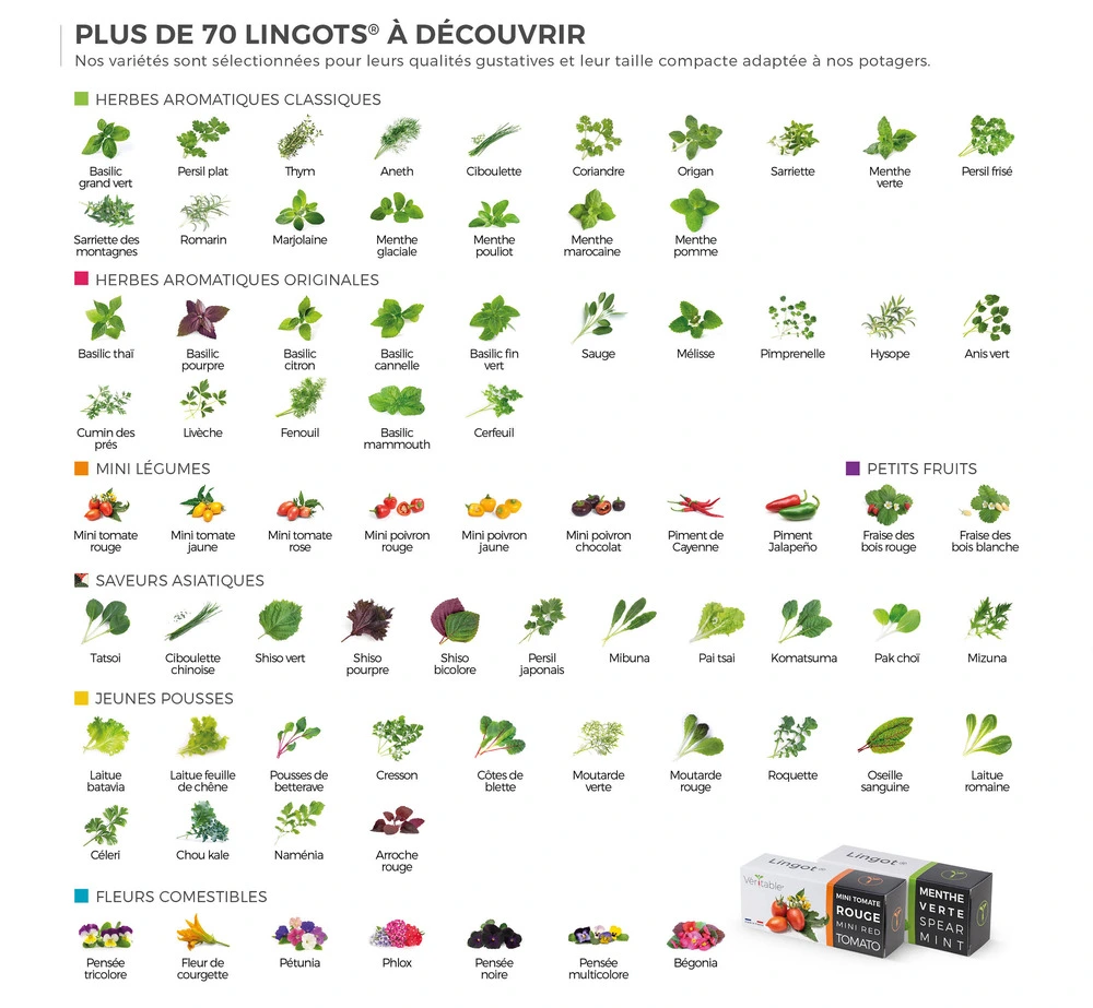Lingot moutarde rouge bio - recharge prête à l'emploi