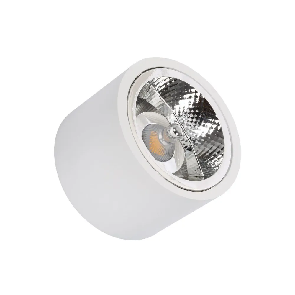 Projecteur LED 12W en surface AR111 diamètre 80 mm avec télécommande