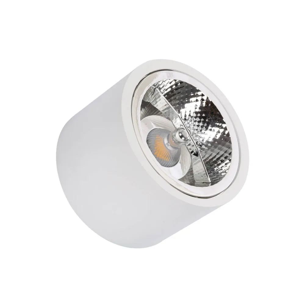 Projecteur LED 12W en surface AR111 diamètre 80 mm avec télécommande